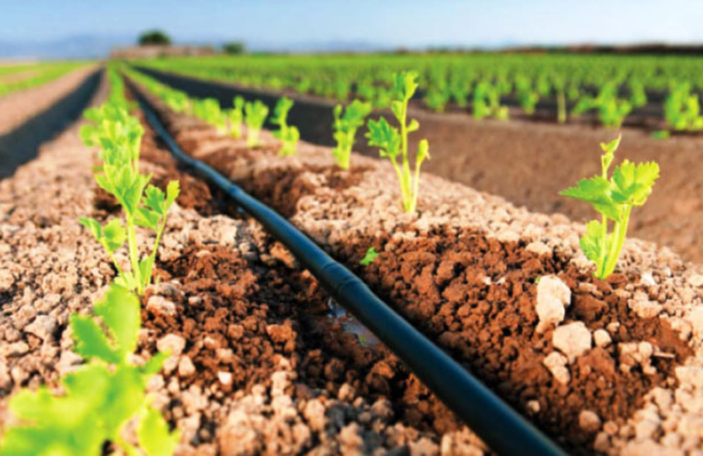 Define Drip Irrigation Class 7